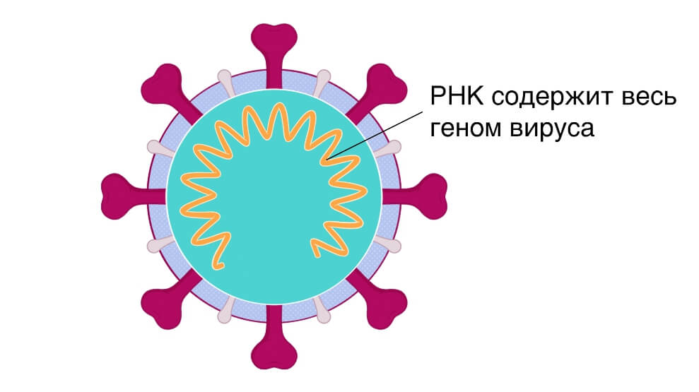 Кракен не заходит