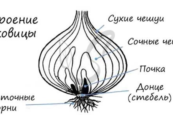 Кракен рабочая ссылка