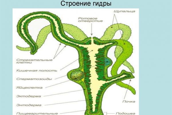 Kraken tor ссылка kraken014 com