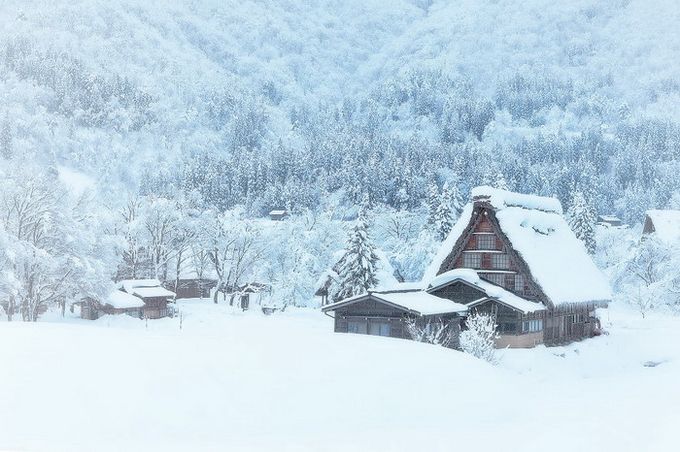 Сайт тор кракен